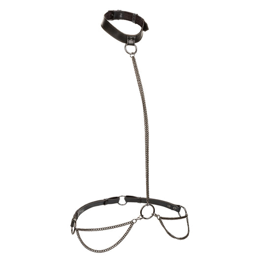 Euphoria Collection Plus Size Chain Halter/collar and Leash - Black SE3101013