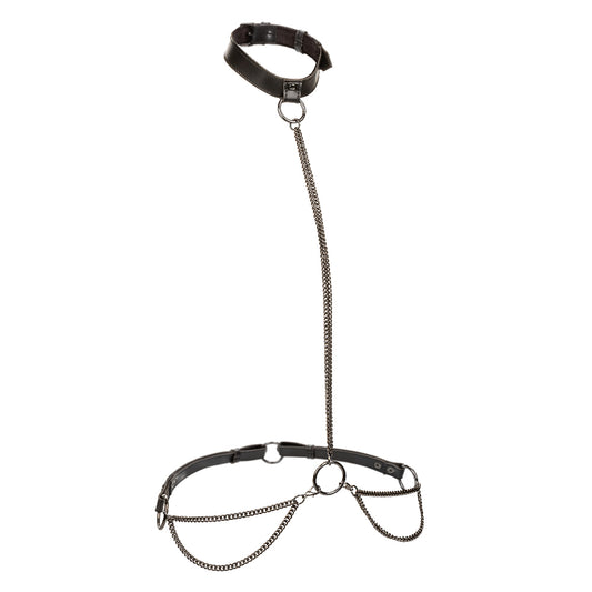 Euphoria Collection Chain Halter/collar and Leash - Black SE3101003