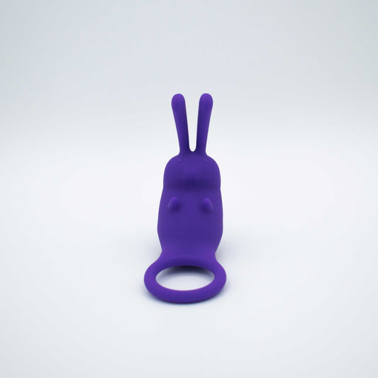 The Cock Hopper Cock Ring and Bullet Vibrator - Purple LAK-9104
