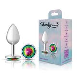 Rainbow Round Gem Silver Metal Plug - Sm