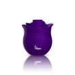 "Zen Rose - Violet VB-75013"
