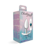 Silver Anchor Buttplug Kit - Clear Iridescent/teal