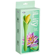 "Spathe Lily Vibe Green WTC606"